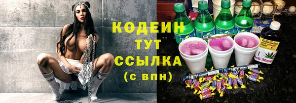 меф Вяземский