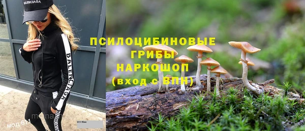 меф Вяземский